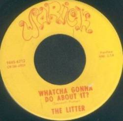 The Litter : Action Woman - Whatcha Gonna Do About It?